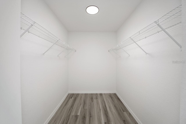2688 SW Wave Ln, Dunnellon, FL 34431 - spacious closet with wood finished floors