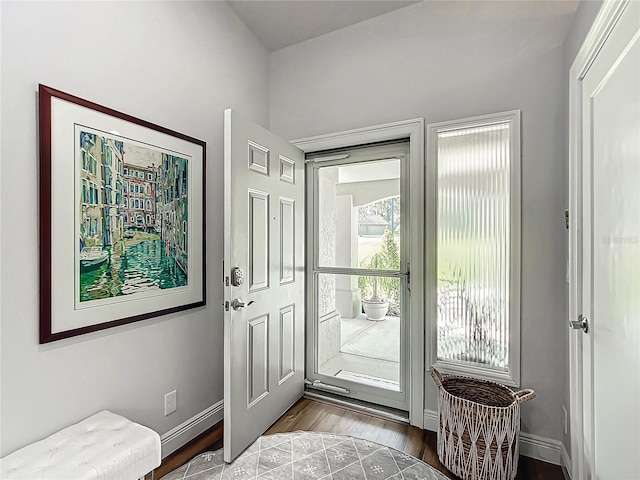 entryway with wood-type flooring