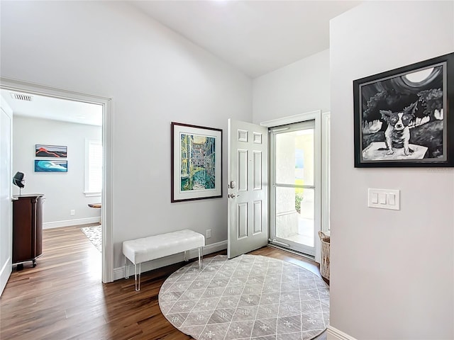 foyer with wood-type flooring