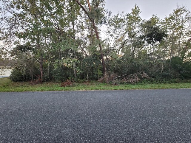 LOT22 SW 156th Loop, Ocala FL, 34473 land for sale