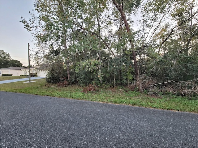 Listing photo 3 for LOT22 SW 156th Loop, Ocala FL 34473