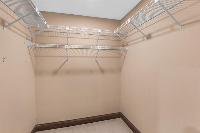 view of spacious closet