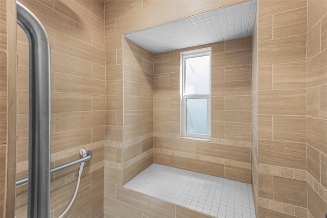 bathroom with a shower