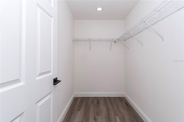 walk in closet featuring dark wood-type flooring