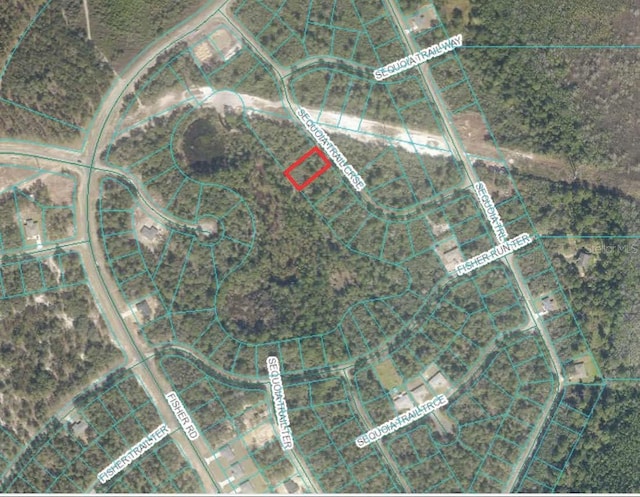 Listing photo 3 for 00 Sequoia Trail Crse, Ocklawaha FL 32179