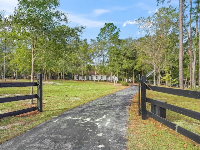 view of community with a lawn