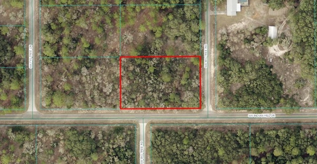 TBDLOT17 SW Big Tree Rd, Dunnellon FL, 34431 land for sale