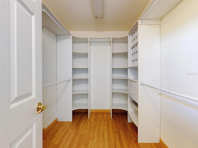 spacious closet with light hardwood / wood-style floors