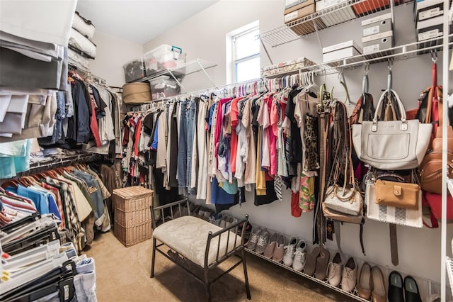 walk in closet with carpet flooring