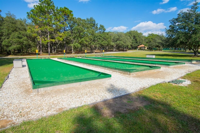 view of community with a yard