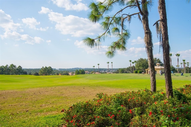 view of community with a yard