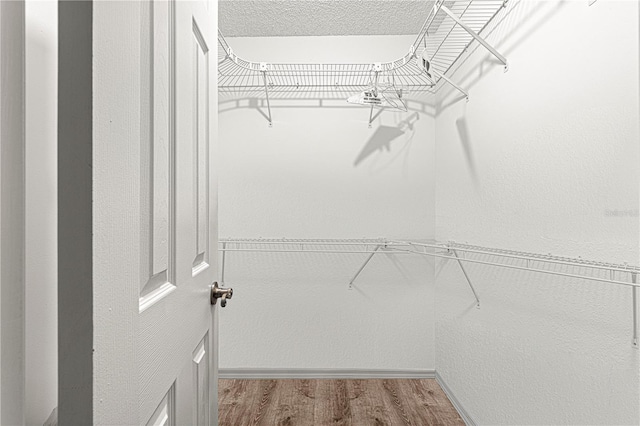 spacious closet with hardwood / wood-style floors