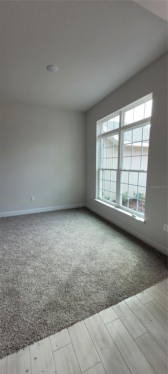 unfurnished room with carpet, baseboards, and wood finished floors