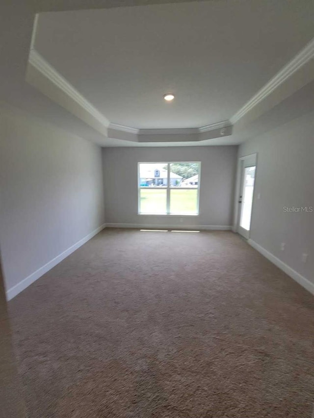 11610 SW 59th Ter, Ocala, FL 34476 - empty room featuring a raised ceiling, ornamental molding, carpet flooring, and recessed lighting