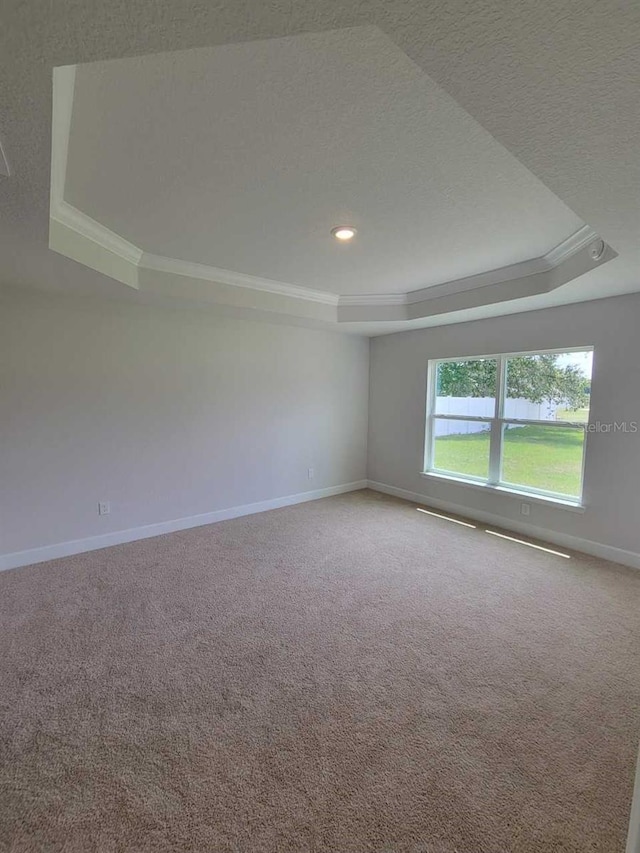 11610 SW 59th Ter, Ocala, FL 34476 - carpeted empty room featuring a raised ceiling, ornamental molding, and recessed lighting