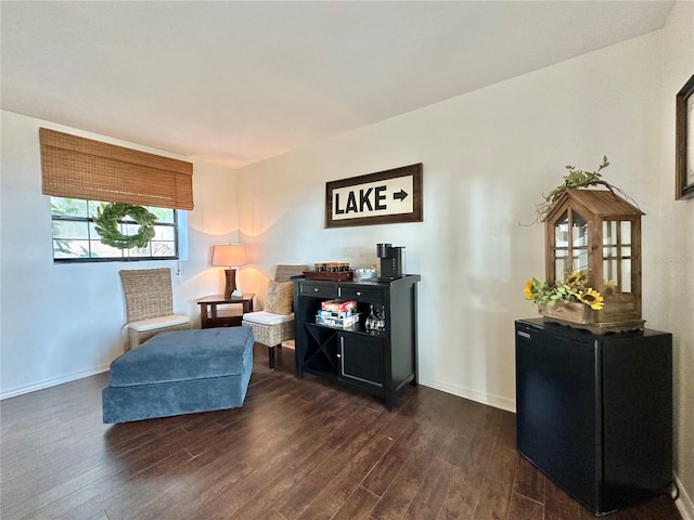 living area with dark wood-type flooring