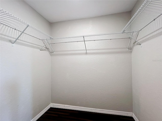 walk in closet with wood-type flooring