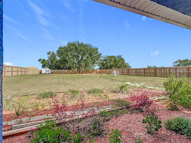 view of yard featuring a shed