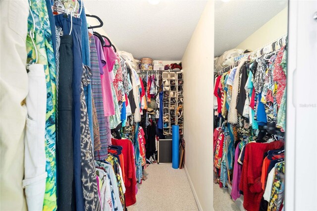 5336 SW 109th Place Rd, Ocala, FL 34476 - spacious closet with carpet floors