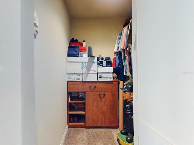 walk in closet with light colored carpet