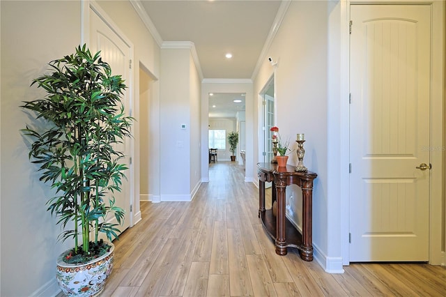 corridor featuring crown molding and light hardwood / wood-style floors