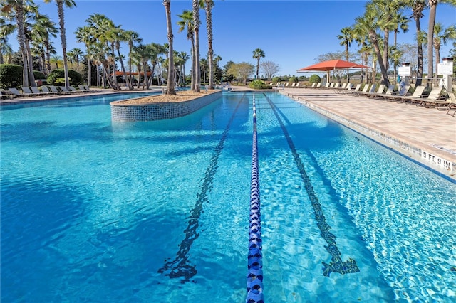 view of swimming pool