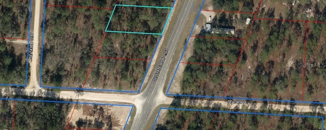 2290 SE State Road 121, Morriston FL, 32668 land for sale