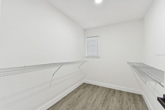 walk in closet featuring wood-type flooring