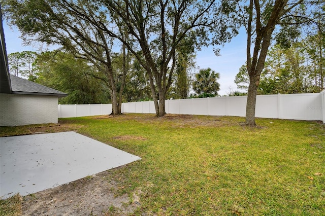 view of yard featuring a patio