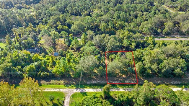 334 Birch Blvd, Georgetown, FL 32139 - photo 1