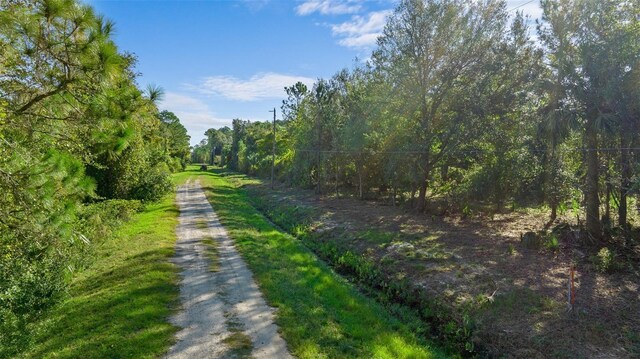 334 Birch Blvd, Georgetown, FL 32139 - photo 2