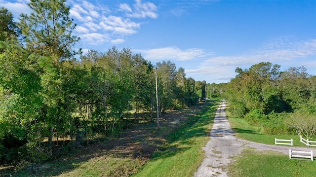 Listing photo 3 for 334 Birch Blvd, Georgetown FL 32139