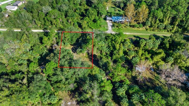 334 Birch Blvd, Georgetown, FL 32139 - photo 4