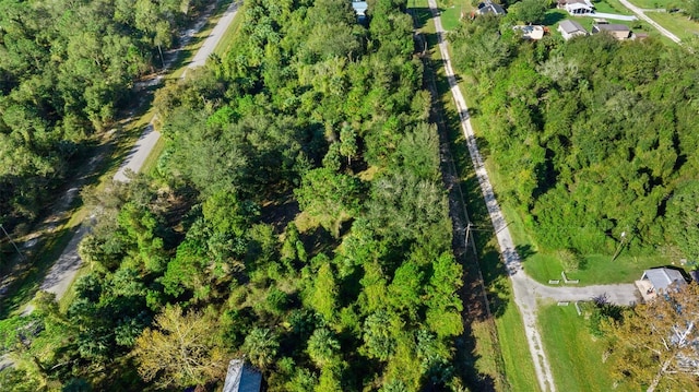 334 Birch Blvd, Georgetown, FL 32139 - photo 5