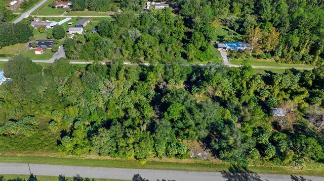 334 Birch Blvd, Georgetown, FL 32139 - photo 6