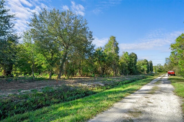 334 Birch Blvd, Georgetown, FL 32139 - photo 9
