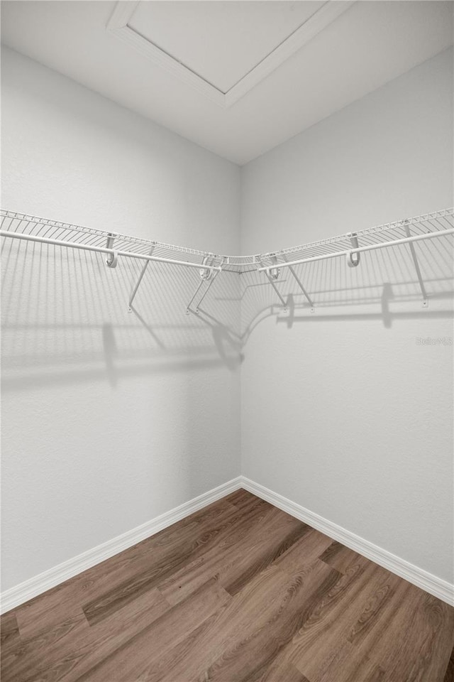 30 Maple Crse, Ocklawaha, FL 32179 - walk in closet with wood finished floors