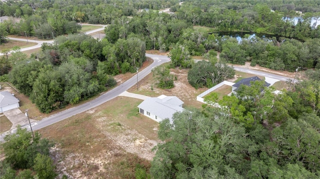 30 Maple Crse, Ocklawaha, FL 32179 - drone / aerial view of a forest and a large body of water