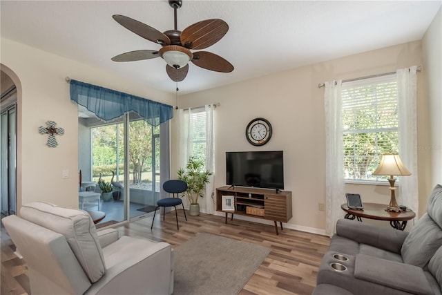 living room with ceiling fan, light wood-type flooring, and a wealth of natural light