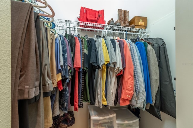 view of spacious closet