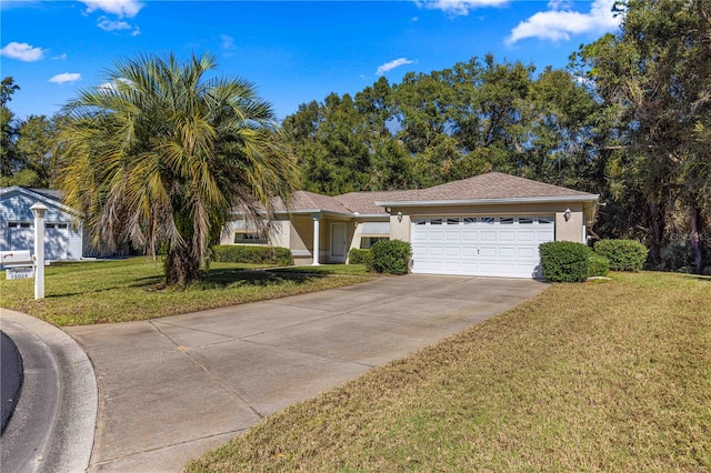 ranch-style house featuring a front lawn