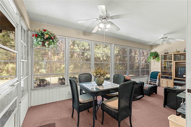 sunroom / solarium featuring ceiling fan and a healthy amount of sunlight