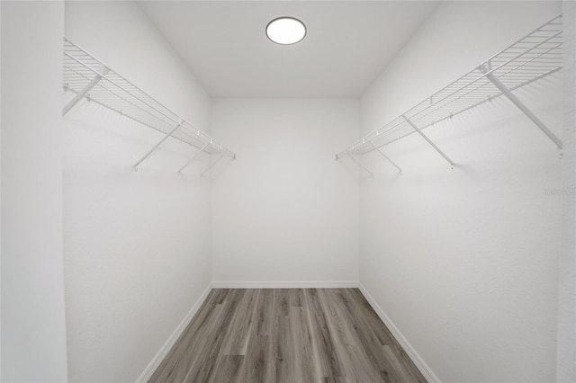 spacious closet featuring hardwood / wood-style flooring