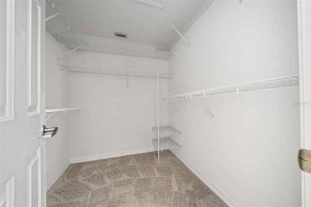 spacious closet featuring carpet floors and visible vents