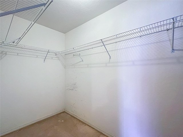 view of walk in closet