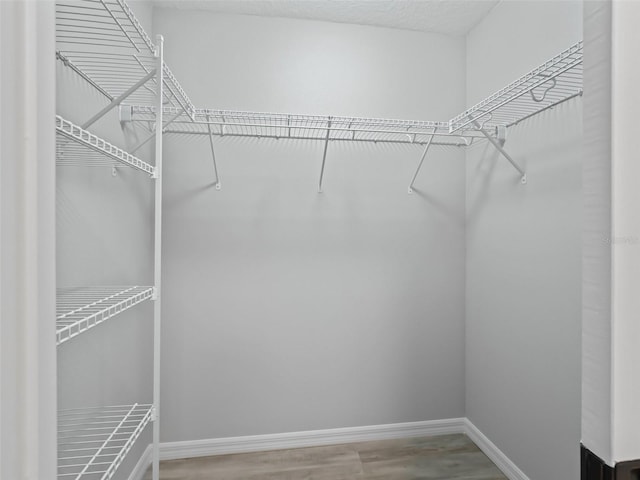 spacious closet with hardwood / wood-style floors