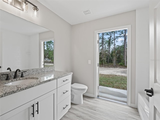 bathroom with hardwood / wood-style floors, vanity, and a healthy amount of sunlight