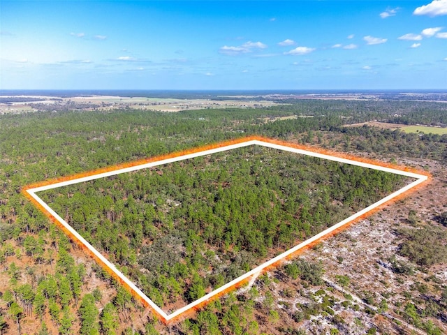 0 NE 15th St, Williston FL, 32696 land for sale