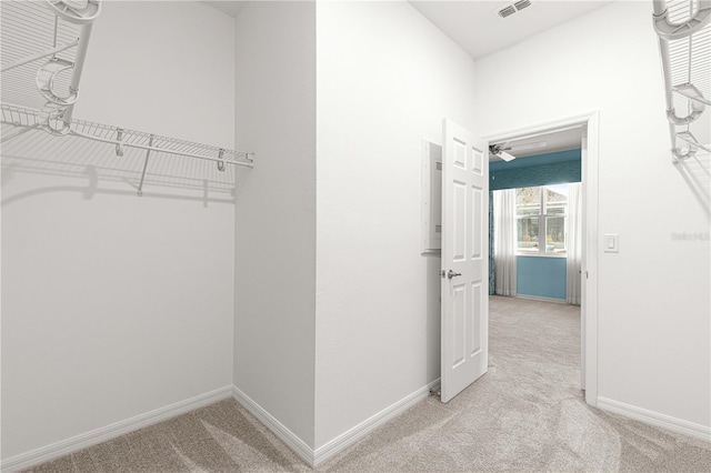 spacious closet with light colored carpet