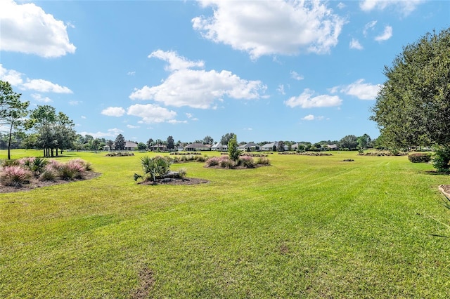 view of yard with a rural view